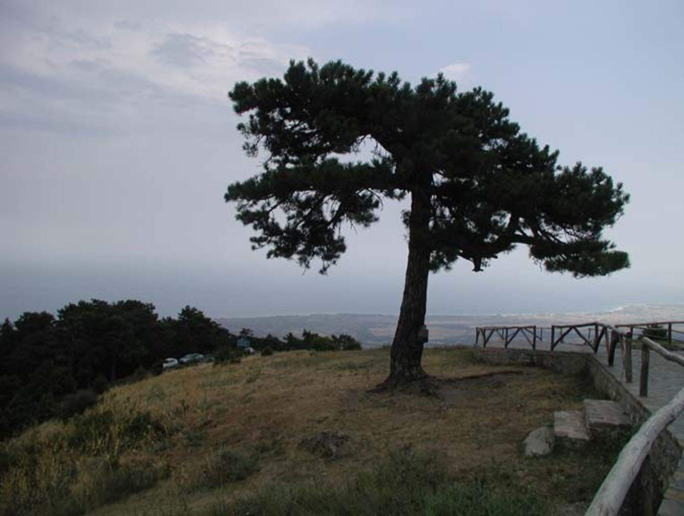 Olimp planina bogova