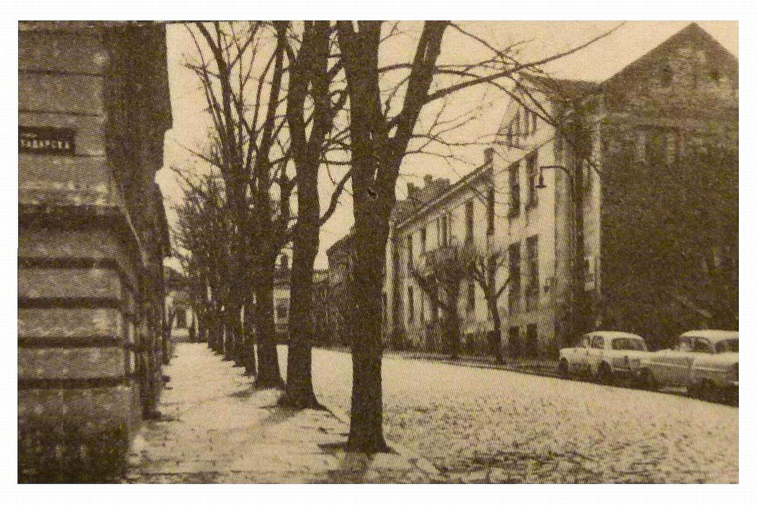 Kosancicev venac 19