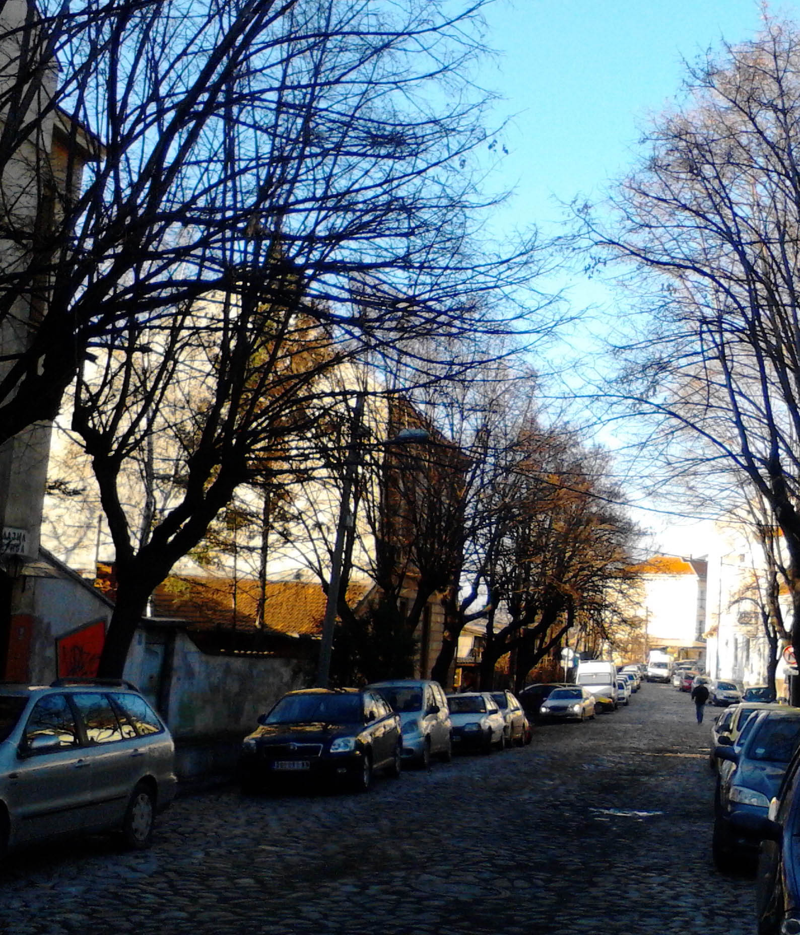 Kosancicev venac