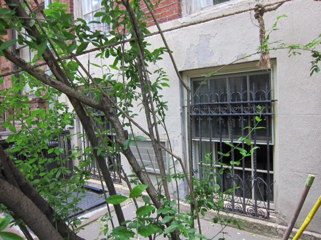 44 Morton Street, prozori Josifa Brodskog, photo © Isabel Bau Madden