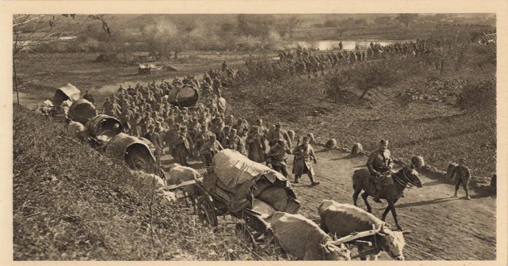 Černov, srpska vojska, povlačenje, 1915