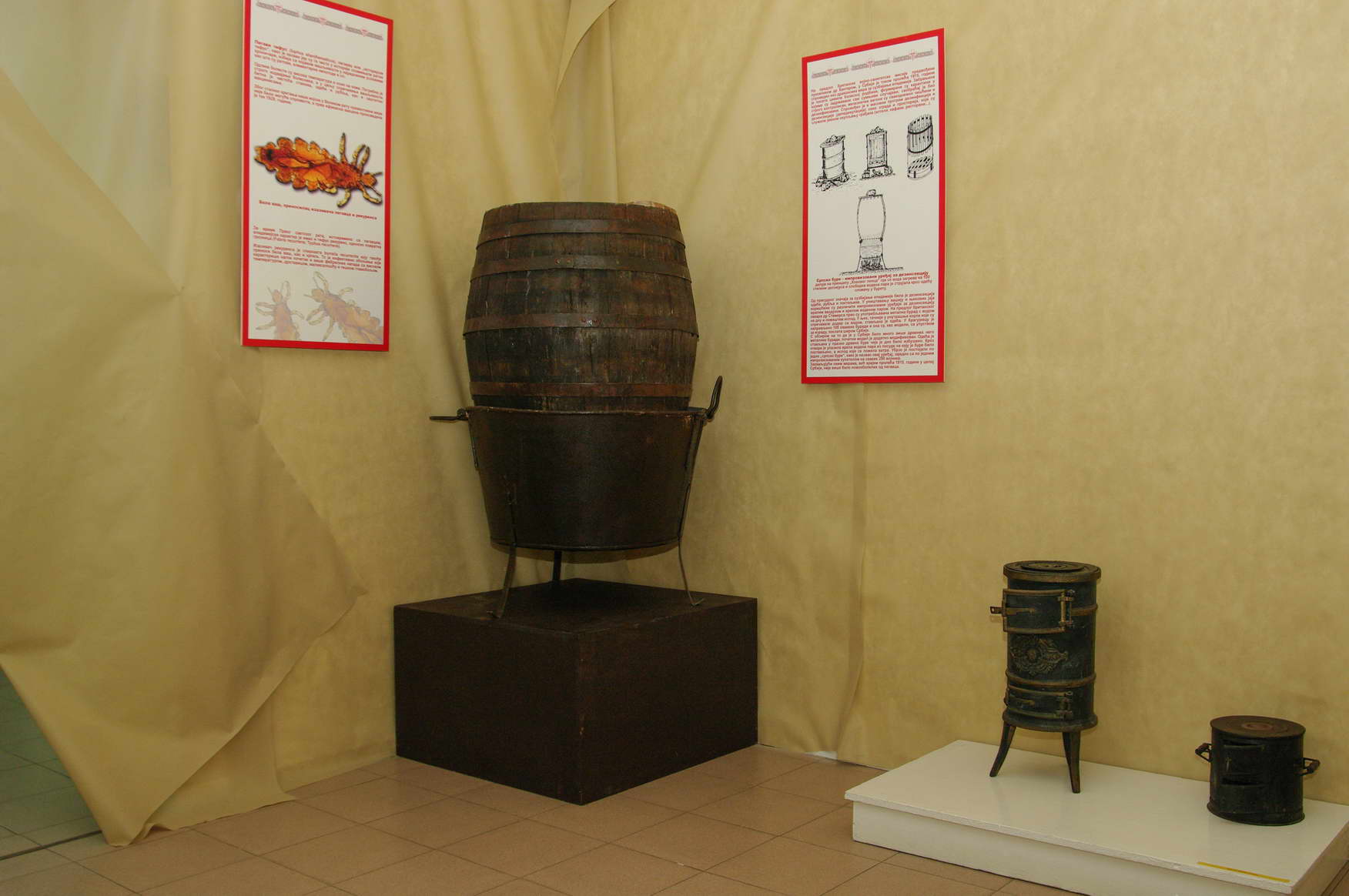 bela vas, tifus, Valjevska bolnica