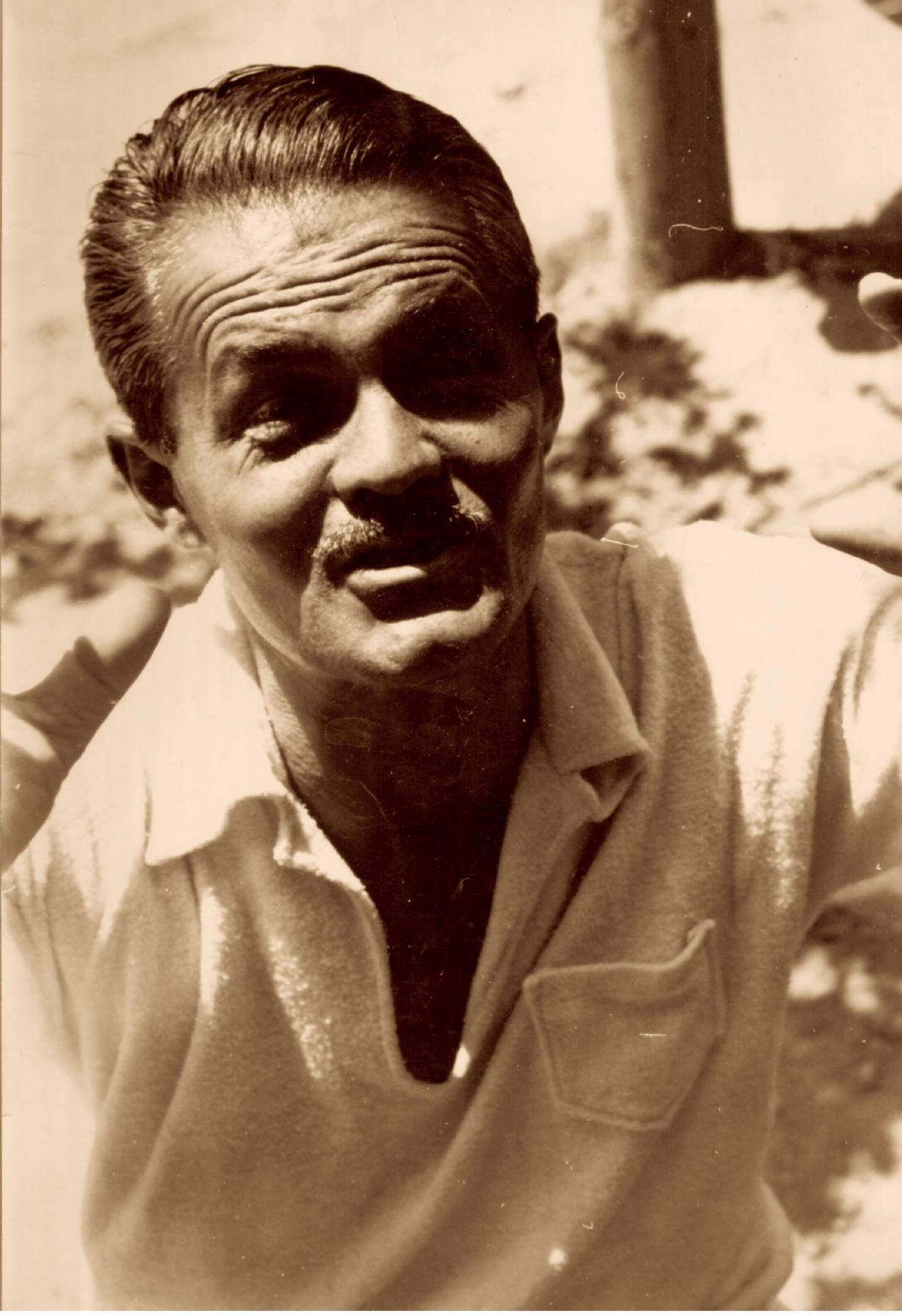 Predrag Peđa Milosavljević