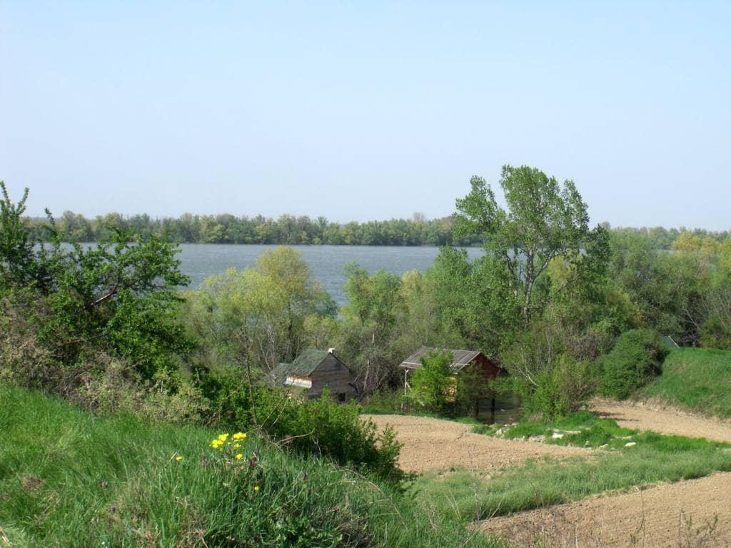 Dunav u Višnjici