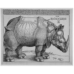 Albreht Direr: Rhinoceros (Nosorog), 1515,